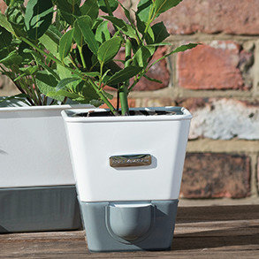 Cole & Mason Indoor Herb Garden Self-Watering Carbon Steel Pot Planter